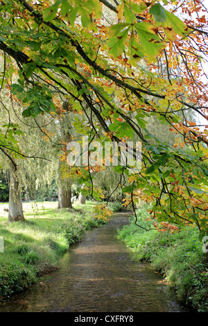 Tilling Bourne à Abinger Hammer près de Dorking Surrey England UK Banque D'Images