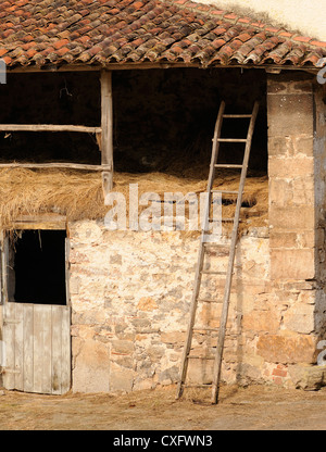 Une grange en pierre avec un toit en tuiles, grenier à foin, et une échelle en bois. Libardon Colunga, Espagne. Banque D'Images