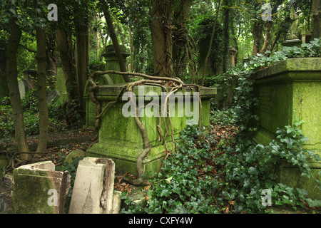 Le Cimetière de Highgate West à Londres en Angleterre Banque D'Images