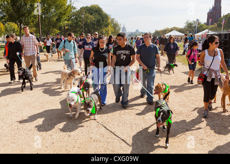 Un grand groupe de personnes promènent leurs chiens Banque D'Images