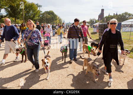 Un grand groupe de personnes promènent leurs chiens Banque D'Images