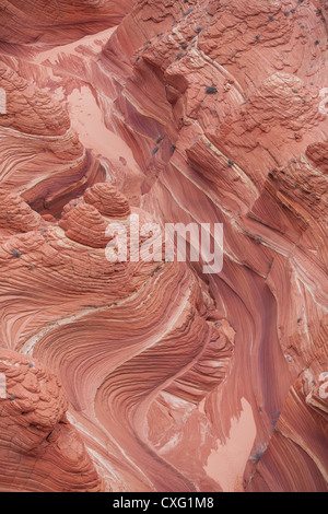 VUE AÉRIENNE.Canyon sculpté dans des grès à lits croisés d'aeolian.Monument national de Paria Vermillion Cliffs, comté de Coconino, Arizona, États-Unis. Banque D'Images