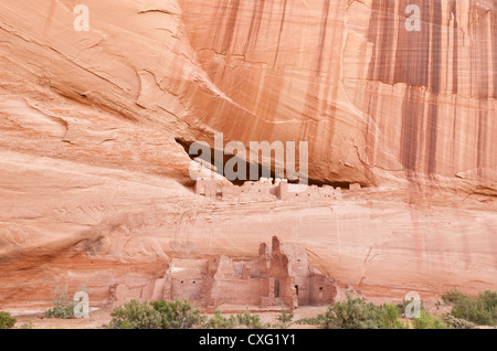 Ruines de la Maison blanche dans la région de Canyon de Chelly, Arizona, USA Banque D'Images