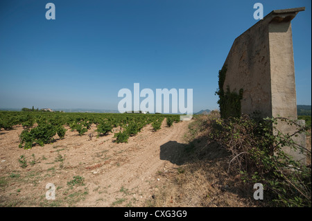 Ancien vignoble signe et vignes à Gigondas dans les Côtes du Rhône, dans le sud de la France Banque D'Images