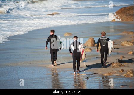 Trois surfeurs de marcher le long de la plage de Sennen à Cornwall Banque D'Images