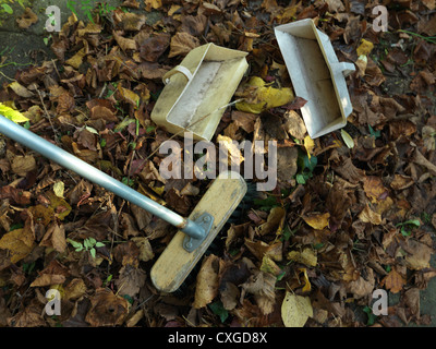 La collecte des feuilles dans un sac de polyéthylène noir pour faire cladosporiose dans jardin Banque D'Images