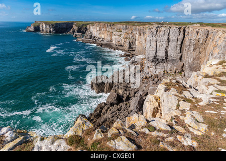 CLIFFS NR ST GOVAN'S HEAD, PEMBROKESHIRE WALES UK CASTLEMARTIN Banque D'Images