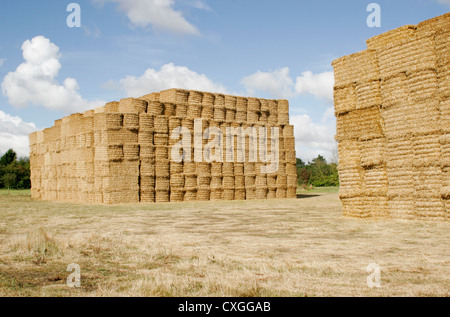 Paille grand Ricks Pettaugh Suffolk Angleterre UK Banque D'Images