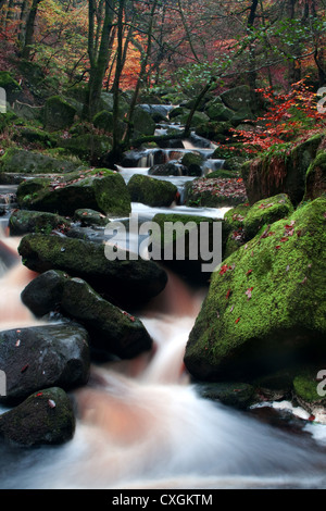 L'Angleterre, Derbyshire Peak District, Padley, Gorge, en cours d'avalanche à l'automne Banque D'Images