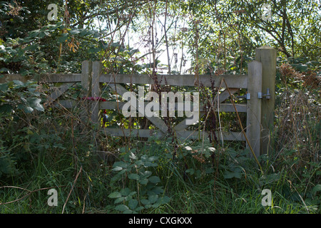 En bois recouvert de production en chaîne rouge dans la campagne d'Oxford de blocage Banque D'Images