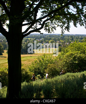 Vue panoramique Vista de grade 1 énumérés Richmond Park, au-delà de King Henry's mound Londres Angleterre Europe Banque D'Images