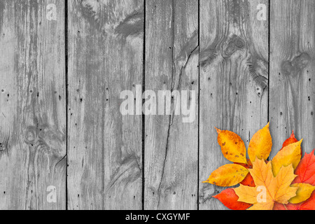 Les feuilles d'automne sur fond de bois with copy space Banque D'Images