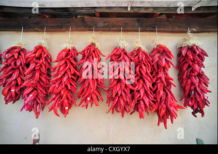 Piments séchés rouge au Nouveau Mexique, USA. Banque D'Images