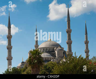 Vue de la célèbre Mosquée bleue Sultan Ahmet Cami à Istanbul Turquie Banque D'Images