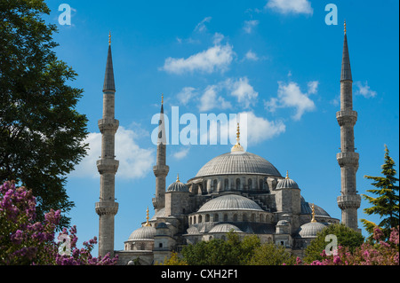 Vue de la célèbre Mosquée bleue Sultan Ahmet Cami à Istanbul Turquie Banque D'Images