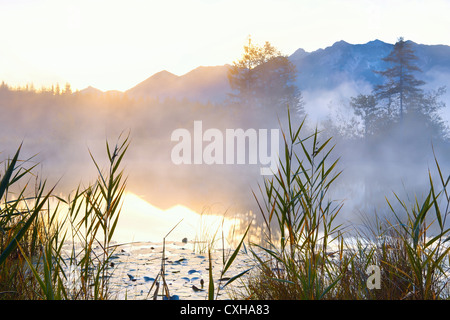 Dans Barmsee Alpes bavaroises dans le brouillard du matin au lever du soleil Banque D'Images
