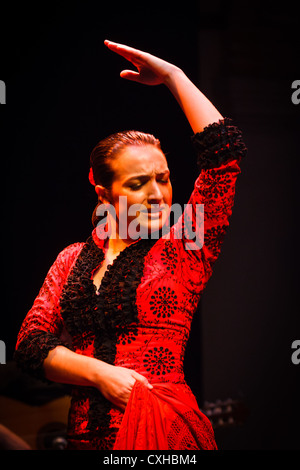 Danseuse de flamenco du visage et du haut du corps en robe rouge Banque D'Images