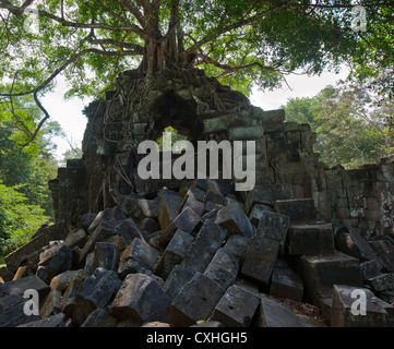 Ruines de Beng Mealea, Angkor, Cambodge Banque D'Images