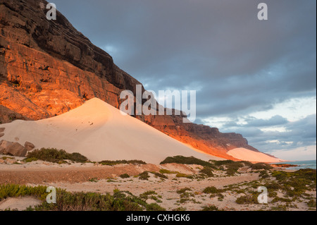 Dunes de sable de Archer, île de Socotra, au Yémen Banque D'Images