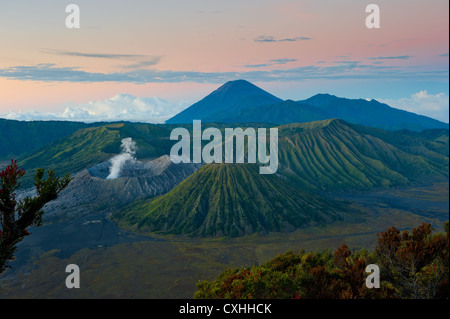 Volcan Bromo au lever du soleil, Java, Indonésie Banque D'Images