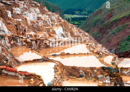 Salines de Salinas, près de l'Urubamba, vallée sacrée, Arequipa, Pérou Banque D'Images