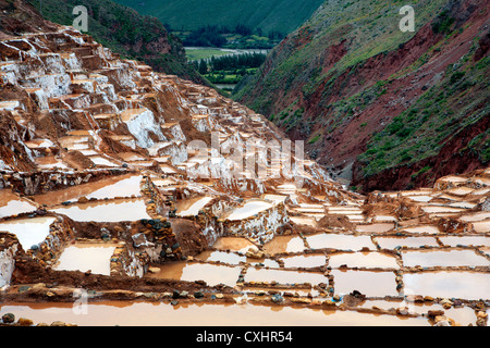 Salines de Salinas, près de l'Urubamba, vallée sacrée, Arequipa, Pérou Banque D'Images