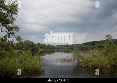 Weitendorfer Feldberger Haussee, Kühlungsborn, Seenlandschaft, plaque de lac mecklembourgeoise district, Mecklenburg-Vorpommern, Banque D'Images