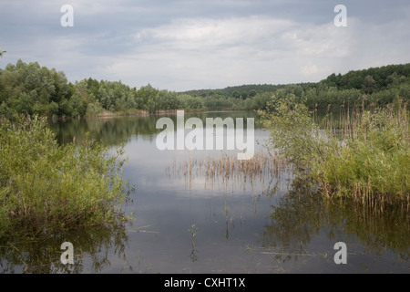 Weitendorfer Feldberger Haussee, Kühlungsborn, Seenlandschaft, plaque de lac mecklembourgeoise district, Mecklenburg-Vorpommern, Banque D'Images