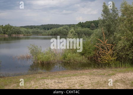 Weitendorfer Feldberger Haussee, Kühlungsborn, Seenlandschaft, plaque de lac mecklembourgeoise district, Mecklenburg-Vorpommern, Banque D'Images