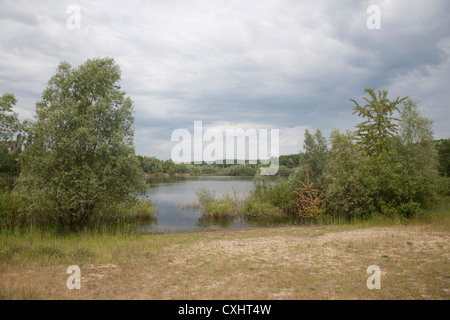 Weitendorfer Feldberger Haussee, Kühlungsborn, Seenlandschaft, plaque de lac mecklembourgeoise district, Mecklenburg-Vorpommern, Banque D'Images