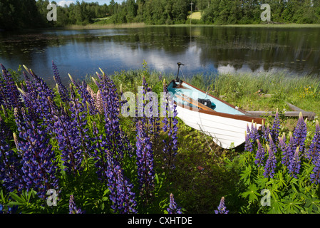 Barque / skiff / dériveur avec moteur électrique beached à la berge , Finlande Banque D'Images