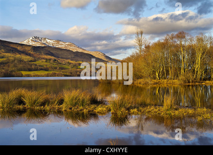 Lumière du soir sur le Loch Tay et la gamme Ben Lawers, les Highlands écossais, UK Banque D'Images