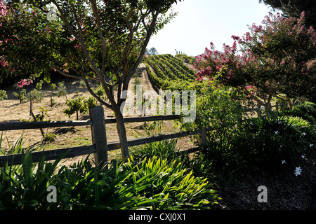 Benziger Family Winery, au-dessus de San Francisco Banque D'Images