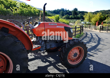 Benziger Family Winery, au-dessus de San Francisco Banque D'Images