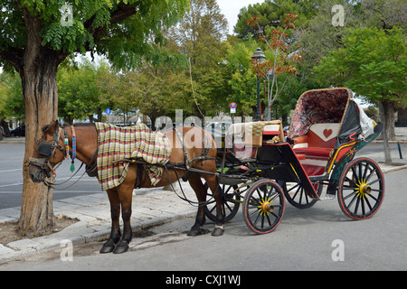 Calèche décorée dans la vieille ville de Corfou, Kerkyra, Corfou, îles Ioniennes, Grèce Banque D'Images