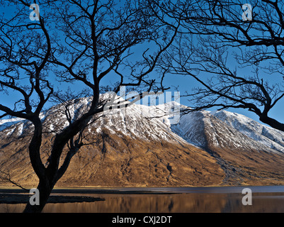 Ben Starav enneigées derrière un écran d'arbres reflète dans les eaux du Loch Etive, les Highlands écossais, UK Banque D'Images