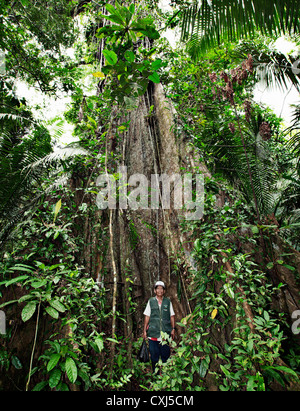 Guide de la jungle à côté d'un grand arbre dans le Parc National de Pacaya-Samiria. Amazon, le Pérou. Banque D'Images