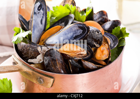 Les moules en cocotte Banque D'Images