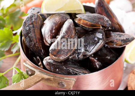 Les moules en cocotte Banque D'Images