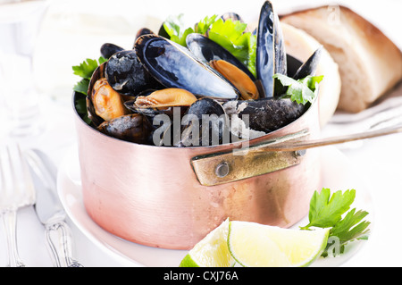 Les moules en cocotte Banque D'Images