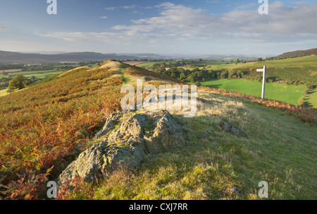 Lever du soleil sur la colline dans l'espoir Bowdler Shropshire, Angleterre Banque D'Images