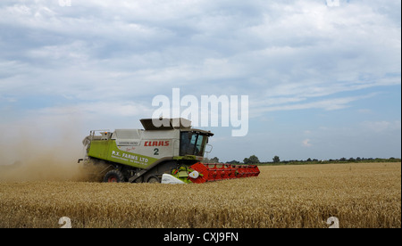 Rassemblement de moissonneuse-batteuse récolte récolte Cambridgeshire Banque D'Images