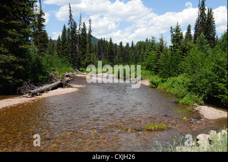 Monture Creek au Montana Banque D'Images