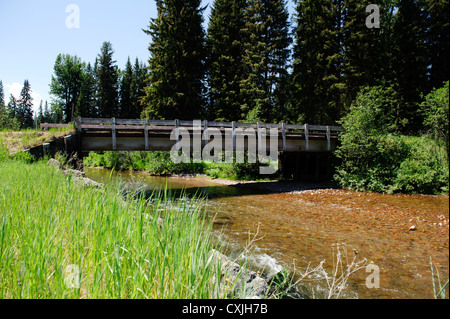 Monture Creek au Montana Banque D'Images