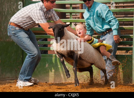 Les jeunes moutons en équitation cowgirl Mutton Busting cas rodeo, Bruneau, California, USA Banque D'Images