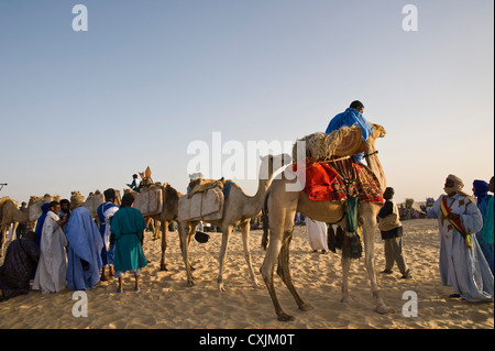 Les nomades Touareg et de chameaux transportant des comprimés de sel ; désert du Sahara Banque D'Images