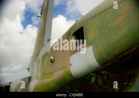 Harrier GR3 Abandon'XZ969, Sea Harrier FRS1 ZD581, et T4 Harrier XW271, à l'aérodrome de Predannack, Cornwall, UK Banque D'Images