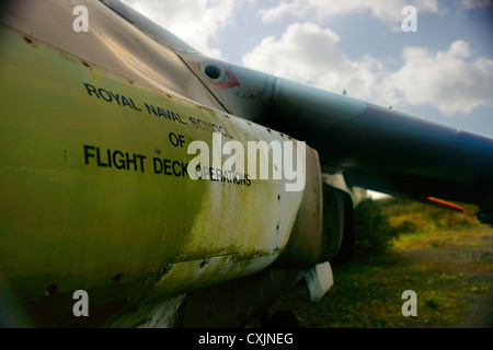 Harrier GR3 Abandon'XZ969, Sea Harrier FRS1 ZD581, et T4 Harrier XW271, à l'aérodrome de Predannack, Cornwall, UK Banque D'Images