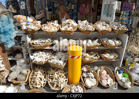 Magasin de vente collection de coquillages dans la vieille ville, La Canée, préfecture de Chania, Crète, Grèce Banque D'Images