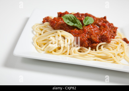 Spaghetti avec sauce à la viande sur un fond blanc Banque D'Images